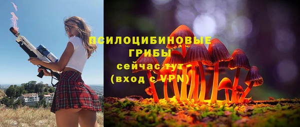 spice Алексеевка