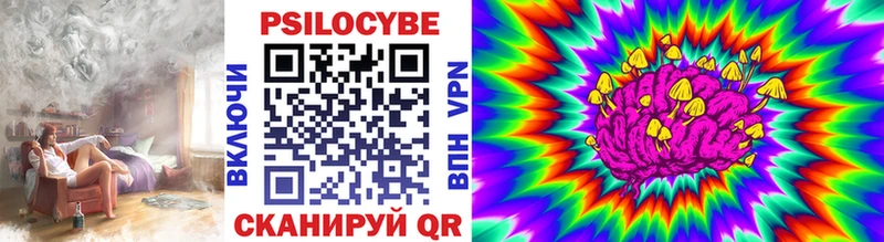 купить наркоту  Джанкой  кракен ССЫЛКА  Галлюциногенные грибы мухоморы 