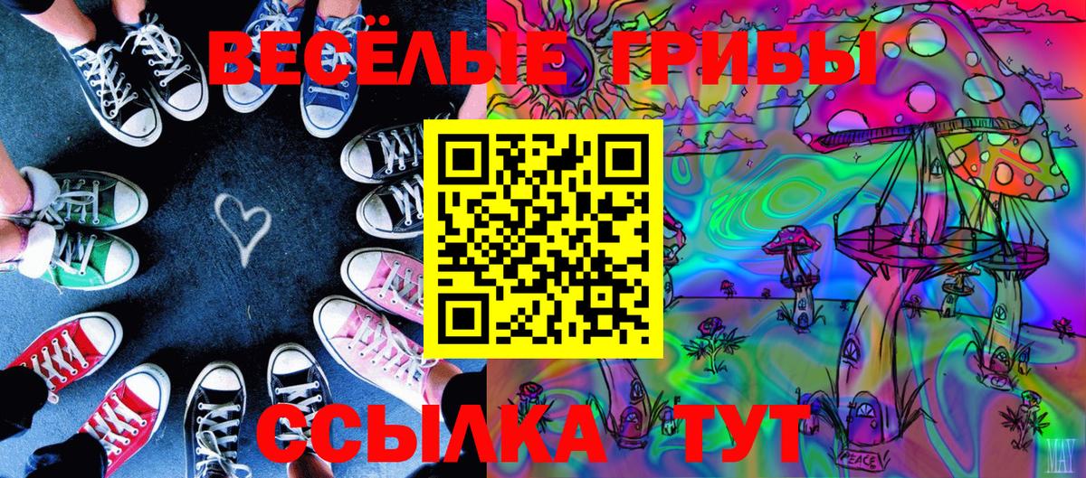 Псилоцибиновые грибы Psilocybine cubensis  Вход с VPN  Джанкой  Галлюциногенные грибы мицелий 